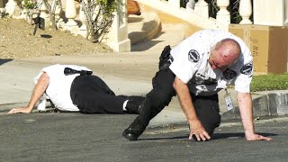 Angry Bee Swarm Attacks Volunteer Police Officer on Live TV [upl. by Walt522]