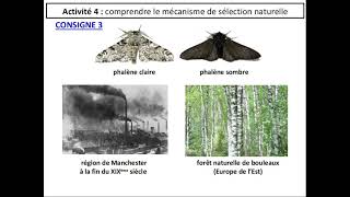 SVT 2nde  THÈME 1  33 les mécanismes de lévolution  sélection naturelle fin [upl. by Noived]