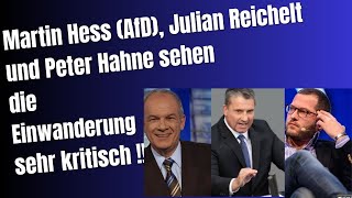 Martin Hess AfD Julian Reichelt und Peter Hahne sehen die Einwanderung sehr kritisch [upl. by Brian884]