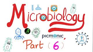 Microbiology  Moraxella catarrhalis Neisseria gonorrheae Neisseria meningitidis Picmonic Part 6 [upl. by Attebasile568]