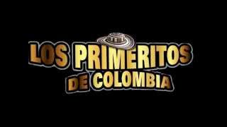 Quiza En Vivo  Los Primeritos de Colombia [upl. by Alyehs]