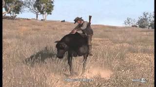 Red dead redemption how to get the best horse [upl. by Paschasia720]