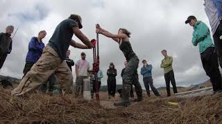 Coring the salt marsh [upl. by Sandor]