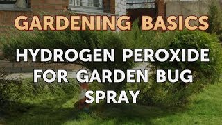 Hydrogen Peroxide for Garden Bug Spray [upl. by Fiorenze429]