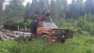 DIY log loader Operation and safety video guide Watch to the end [upl. by Refinnaj181]