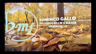 Domenico Gallo Trio Sonata No1 in G Major [upl. by Esetal187]