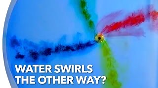 Does Water Swirl the Other Way in the Southern Hemisphere [upl. by Attesoj]