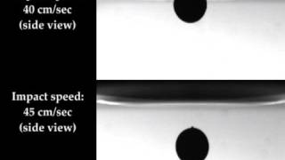 Dynamics of Water Entry of Hydrophilic amp Hydrophobic Spheres [upl. by Ariajay]