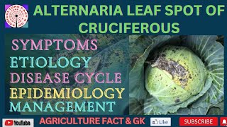 ALTERNARIA LEAF SPOT DISEASES OF CRUCIFEROUS VEGETABLES agriculturefactandgk [upl. by Sateia]