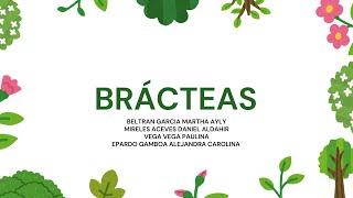 Modificacion en las hojas bracteas [upl. by Ebbie]