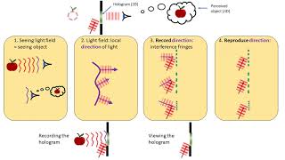 How does a hologram work in 1 minute [upl. by Issie916]
