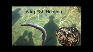 नेपालमा करेन्ट लगाएर माछा एसरी मर्यो Fishing by FISH Shocker Part 3 [upl. by Sirraj]