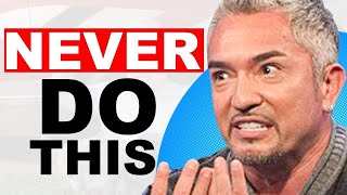 Cesar Millan on the Biggest Mistake Dog Owners Make  Ep 162 [upl. by Eirallam137]