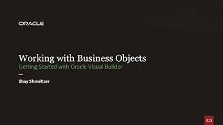 Working with Business Objects [upl. by Zitah]