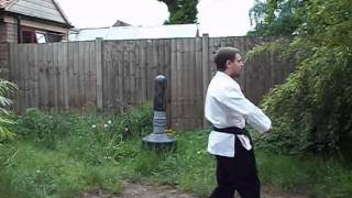 Hakutsuru Kenpo Karate [upl. by Lissner]