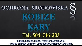 Raport do Kobize termin i kary tel 504746203 Wykonanie i sporządzenie sprawozdania [upl. by Aikahc]