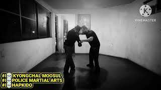 HAPKIDO OAXACA  DUMMY TRAINING  KYONGCHAL MOOSUL [upl. by Euginimod]