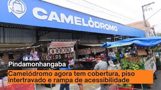 Pindamonhangaba ganha camelódromo na região central [upl. by Ellinet982]