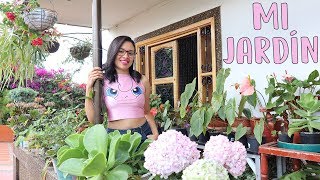 Tour por mi JARDÍN suculentas anturios geranios │Candy Bu [upl. by Cilla]