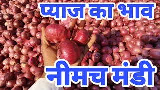 Neemuch Mandi Bhav  प्याज का भाव नीमच मंडी  Neemuch Mandi pyaj ka bhav  pyajbhavtoday [upl. by Saxe]