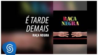 Raça Negra  É Tarde Demais Raça Negra Vol 6 Áudio Oficial [upl. by Burr]