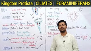 73 Kingdom protista  Ciliates and Foraminiferans and actinopods  Fsc biology class 11 [upl. by Blandina]