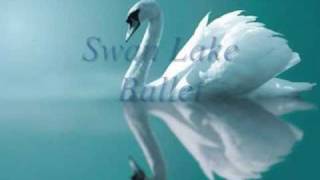 Swan Lake Ballet Tchaikovsky  Act IV XXVIII Scene amp XXIX Finale [upl. by Oznofla]