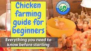 Chicken farming guide for beginners Everything you need to know before starting [upl. by Semele]