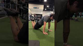 Beginner scapula work calisthenics planche physicaltherapy beginner [upl. by Budge810]