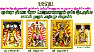 3 DIVYA DESAM PERUMALS in 1 Temple Tirupati Srirangam amp Kanchi🛕🦚TAMIL KADAVULkrishnamurthynandha [upl. by Anny]