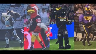 Mascots at the NRLWNRL Grand Final 2024 [upl. by Margi]