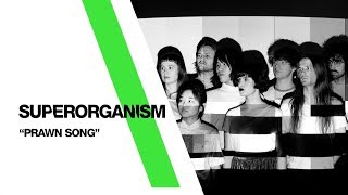 Superorganism  ‘The Prawn Song’ Live From The Independent  San Francisco CA [upl. by Nuris947]