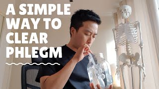 Clear phlegm now how to get rid of sputum cold flu pneumonia [upl. by Anoy]