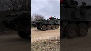 Stryker und M 113 Allied Spirit 2024 [upl. by Biddie]