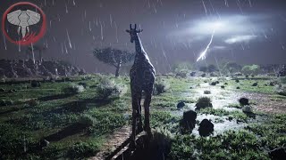 Becoming a Elder Giraffe  Animalia Survival [upl. by Ransome]