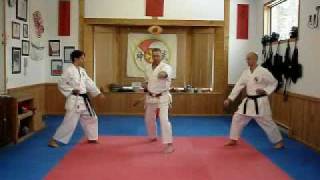 Shinburyu ZenshinKotai Bunkai by JeanNoel Blanchette [upl. by Hazelton945]