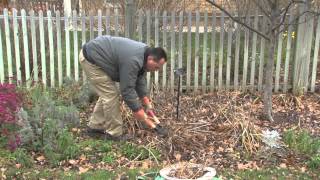 Preparing Your Garden for Winter  A Meijer Gardens Gardening Demonstration [upl. by Hgielek332]