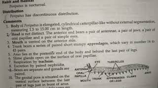 peripatus classification habitat and comments zoology practical bsc best handwritten study notes [upl. by Briano]