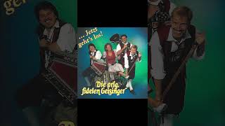 Die Orig Fidelen Geisinger volksmusik  polka  oberkrainer  viralvideo  shorts [upl. by Tyra119]