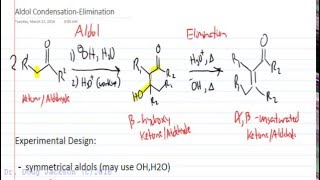 Aldol Condensation Elimination including E1cB Mechanism [upl. by Innek]