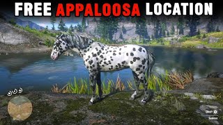 FREE APPALOOSA HORSE LOCATION amp TAMING  RDR2 [upl. by Oigufer]