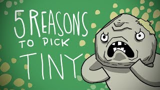 5 REASONS TO PICK TINY [upl. by Daph614]