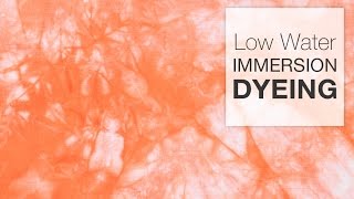 How to Dye Fabric  Low Water Immersion Technique [upl. by Frentz]