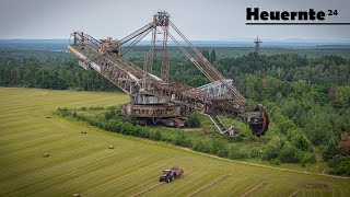 Einmalige Kulisse  Heuernte 2024  CASE IH BAGGER 1473 🇩🇪 [upl. by Moretta]