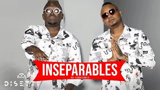 3D Corazones  Inseparables Audio Oficial [upl. by Cummine]