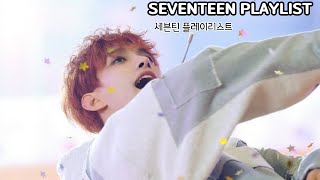 SEVENTEEN PLAYLIST 잔잔하고 따뜻한 노래모음🎵 [upl. by Angelia]