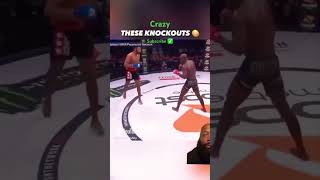 Crazy Knockouts mma ufc mmafighting knockoutoftheyear [upl. by Gans]