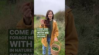 Second spring nettle foraging foraging nettle autumnwalk naturelovers ancientwisdom [upl. by Atirat]