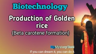 Golden rice and its application Biosynthetic pathways of beta carotene vitamin A precursor [upl. by Kamal]