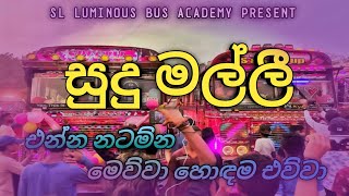 Sudu Malli dj Remix  The Best Bus Dj 2023  Sl Vip Bus King Official Video [upl. by Esinert]